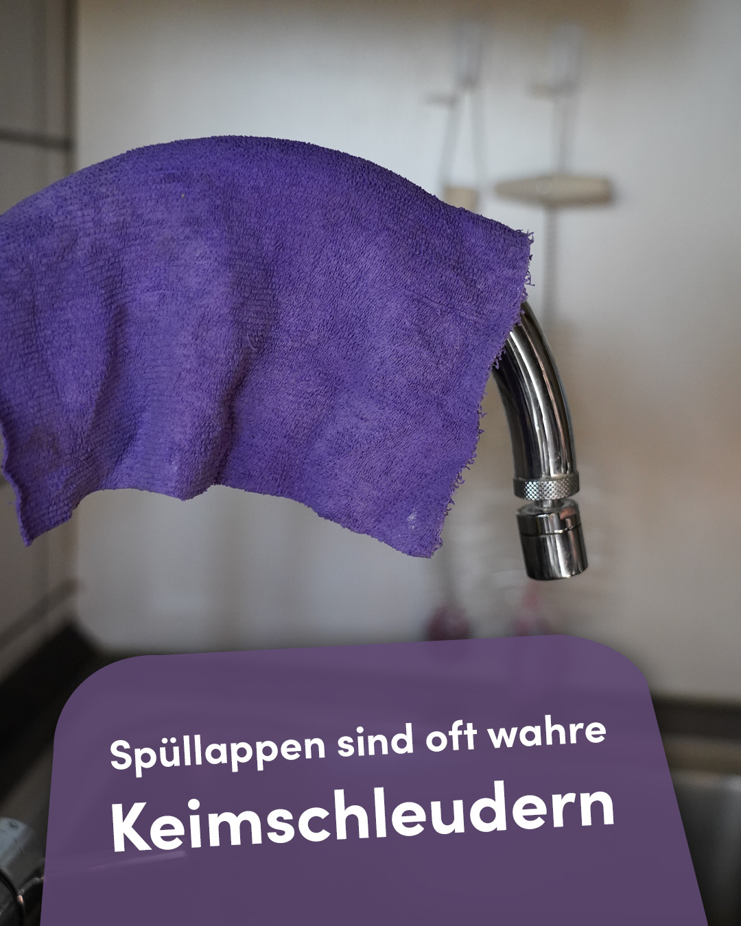 Schon gewusst? Spüllappen sind oft wahre Keimschleudern