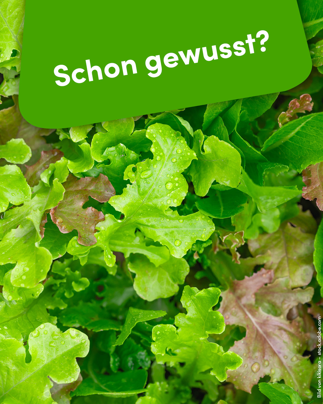 Schon gewusst?