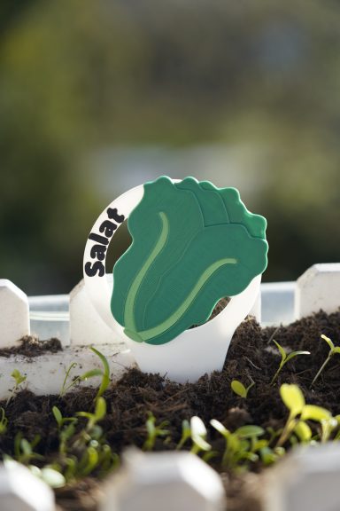 Beetschild "Salat" 3D-gedrucktes Beetschild "Salat"