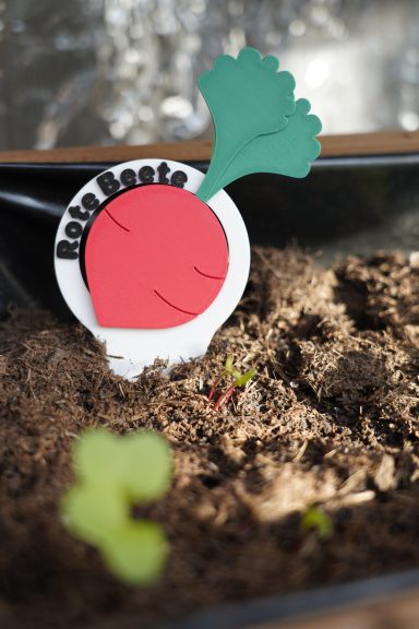 Beetschild "Rote Beete" 3D-gedrucktes Beetschild "Rote Beete"